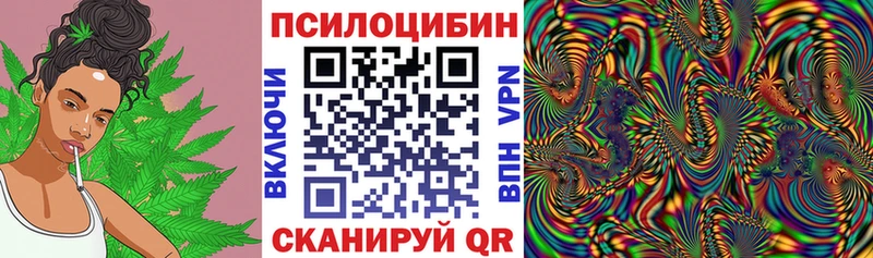 hydra tor  Белый  Псилоцибиновые грибы мухоморы 