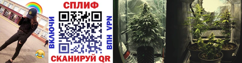 Канабис THC 21%  Белый 
